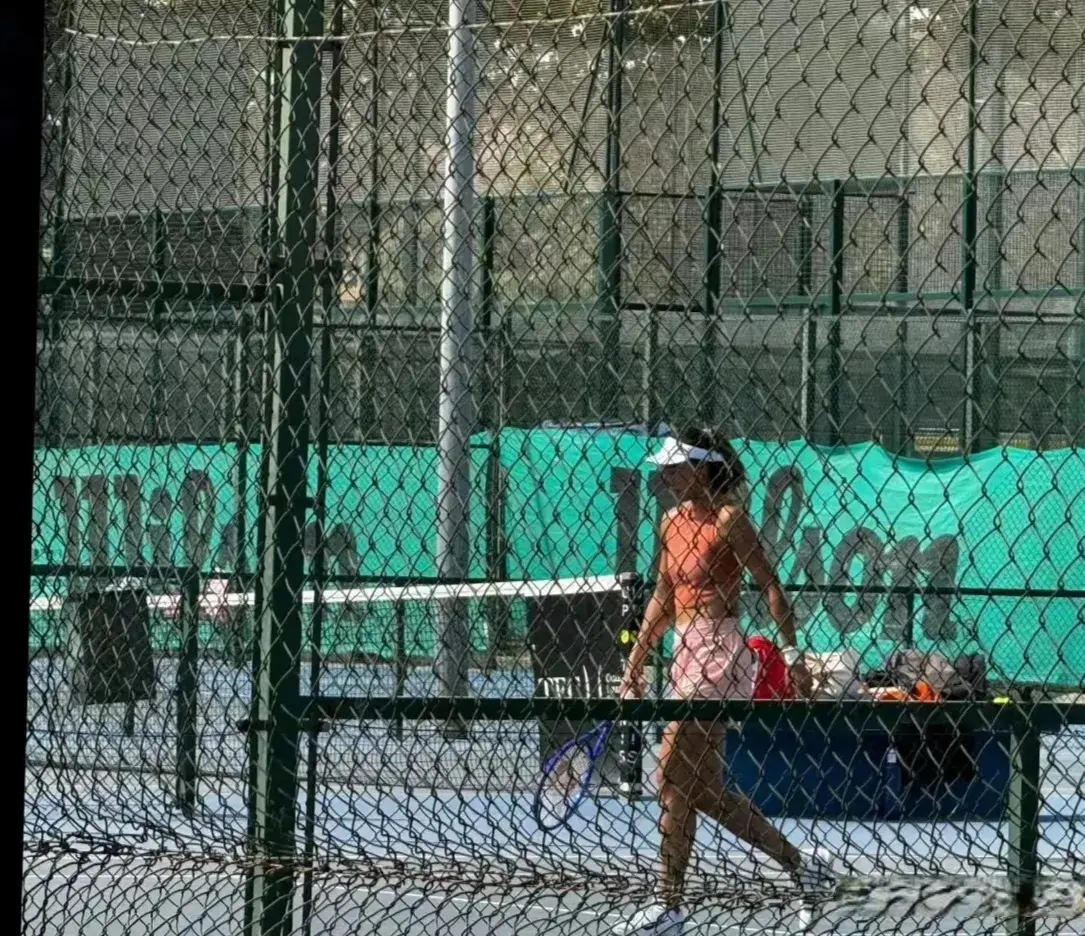 tenan, 来越顺利, 郑钦文传好 tenan, 来越顺利, 郑钦文传好