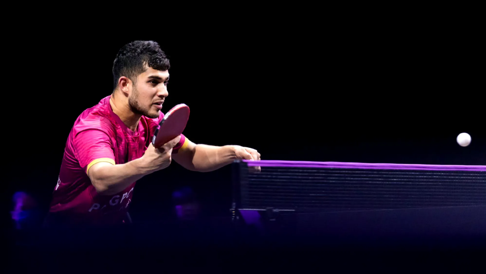 成东道主, 王楚钦成男 成东道主, 王楚钦成男