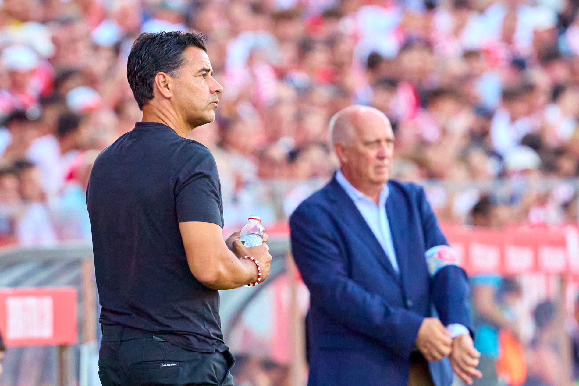 赛他们将力, 纳作为结束, msn