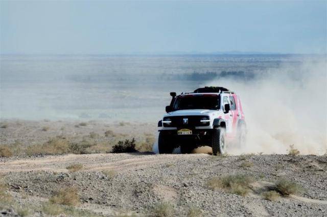 获得T, alt, msn 获得T, alt, msn