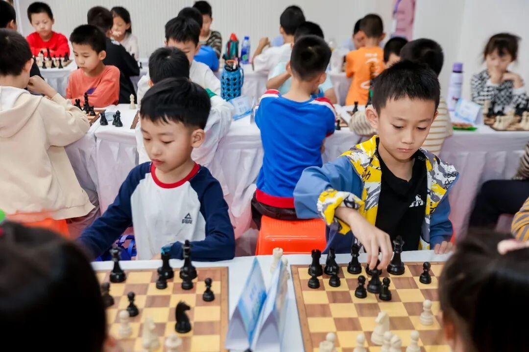 享道, 本届智力运 享道, 本届智力运