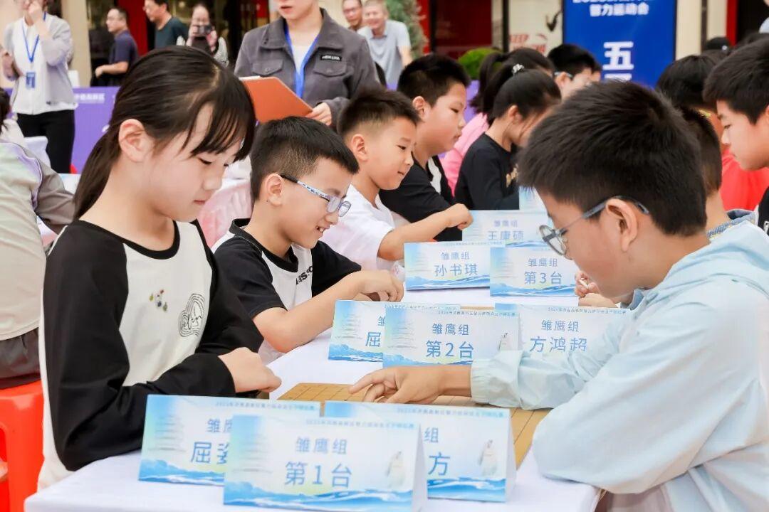 msn, 动普及 msn, 动普及