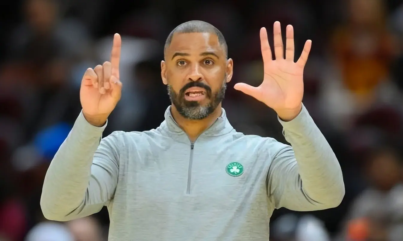 森有不错的 森有不错的